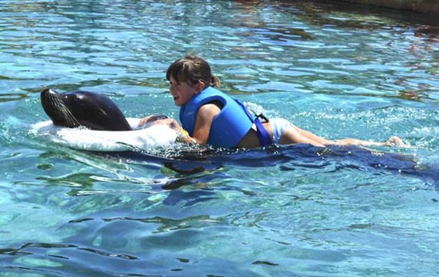 Interaction with with Sea Lions Magic Natura Animal, Waterpark Resort Benidorm Interaction with with Sea Lions Magic Natura Animal, Waterpark Resort Benidorm