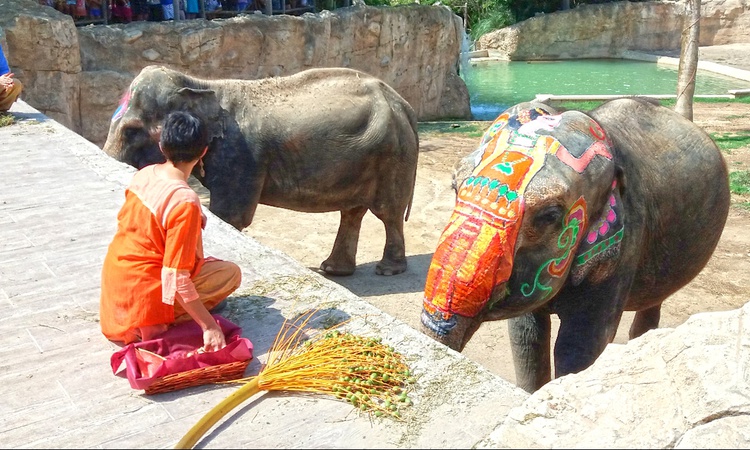 Holi Festival-august 20 Magic Natura Animal, Waterpark Resort Benidorm