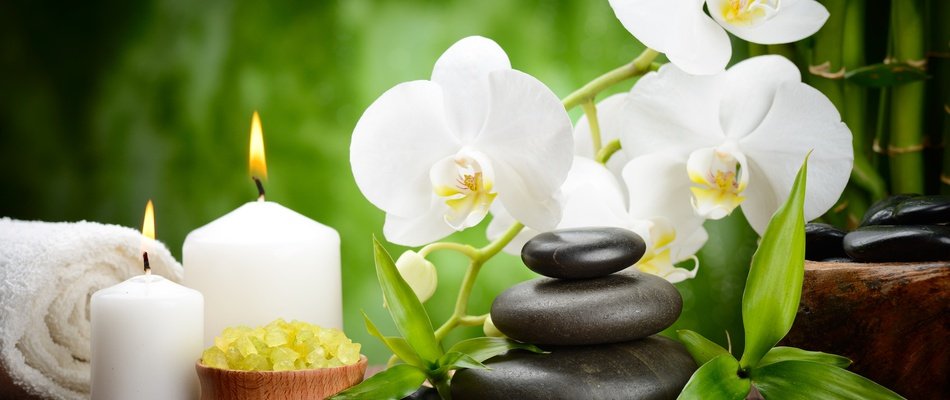 Aromatic massage Magic Natura Animal, Waterpark Resort Benidorm Aromatic massage Magic Natura Animal, Waterpark Resort Benidorm