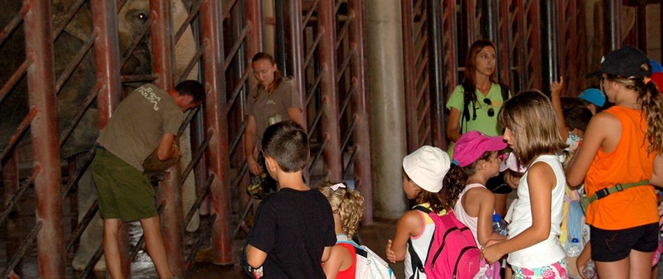DISCOVERY Magic Natura Animal, Waterpark Resort Benidorm DISCOVERY Magic Natura Animal, Waterpark Resort Benidorm