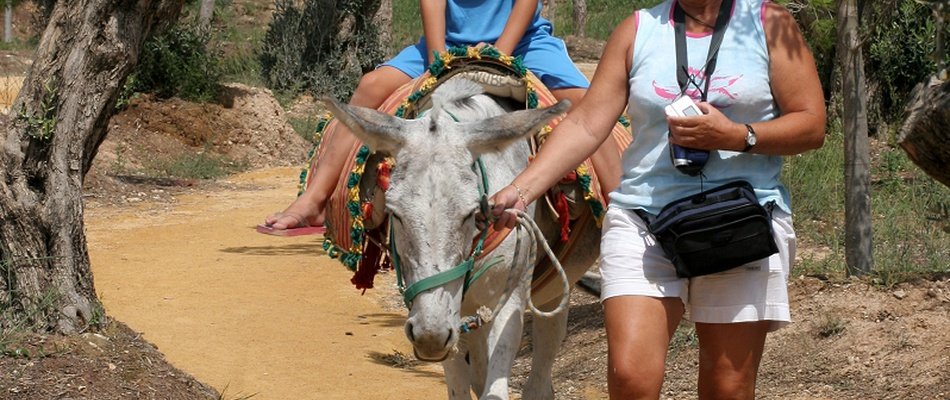 TERRA NATURA EXPERIENCES Magic Natura Animal, Waterpark Resort Benidorm TERRA NATURA EXPERIENCES Magic Natura Animal, Waterpark Resort Benidorm