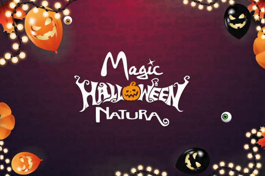 Nature and terror in family: The most fun Halloween is in our resort! Magic Natura Animal, Waterpark Resort Benidorm