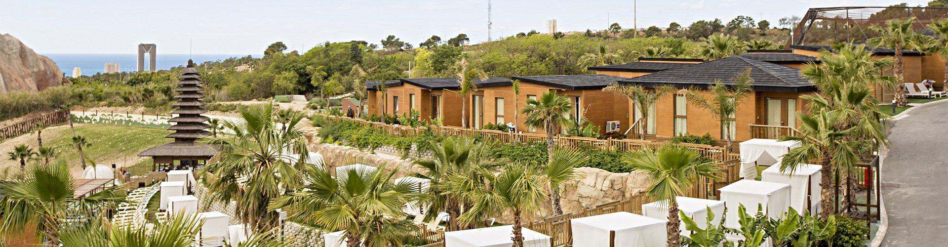 Magic Natura Animal, Waterpark & Polynesian Resort - Benidorm - Magic Natura Animal, Waterpark & Polynesian Resort - Benidorm -